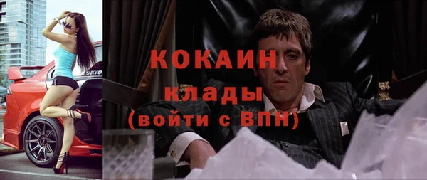 шишки Фурманов