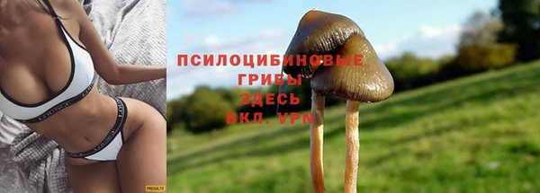 гидропоника Вязники