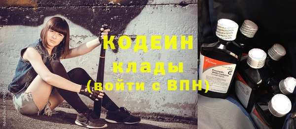 молекула духа Вязьма