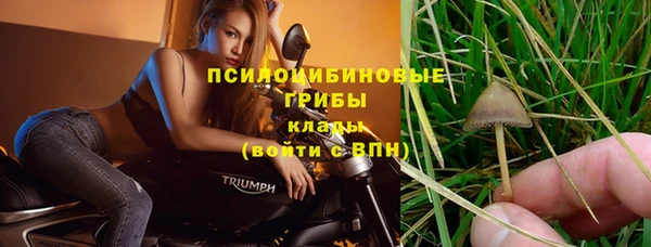 каннабис Верея