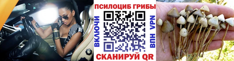 Галлюциногенные грибы прущие грибы  Заречный 